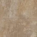 Eternal Bronze