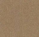 Bronze Amber