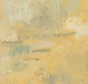 Savanna