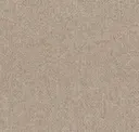 Prairie Lizard