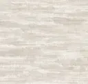 Silver Wisp