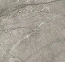Silver Majestic