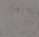 Canal Gray