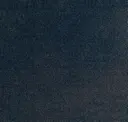 569
