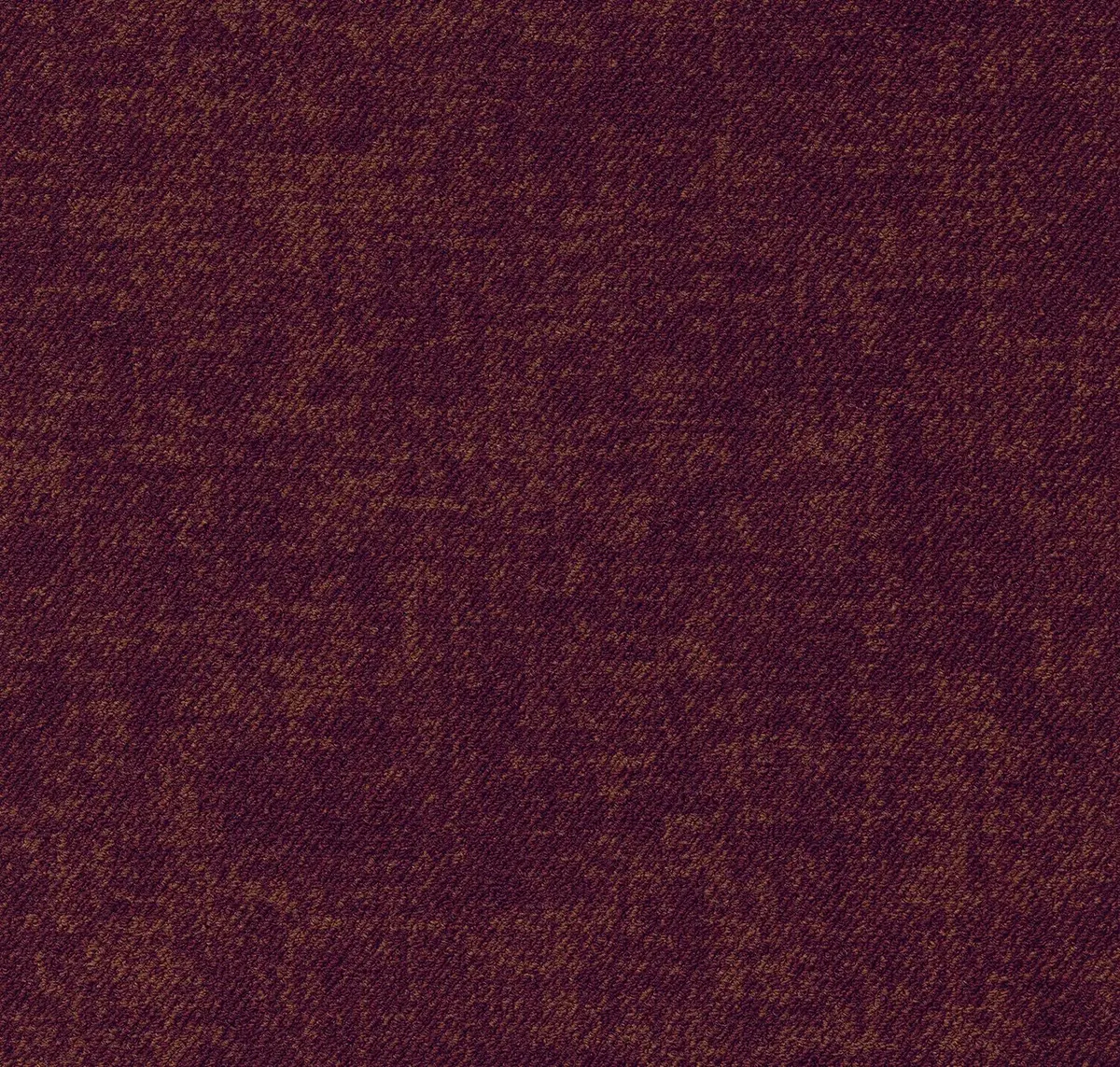 Main