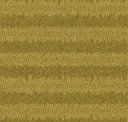 224