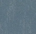 557