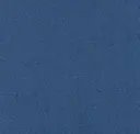 569
