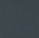 579