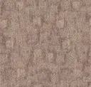 344