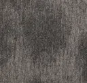 141