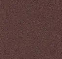 323
