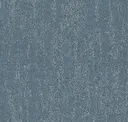 557