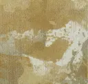 224