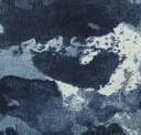 569