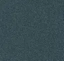 555