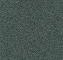579