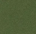 669