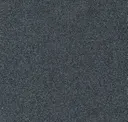 579