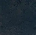 569