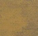 224