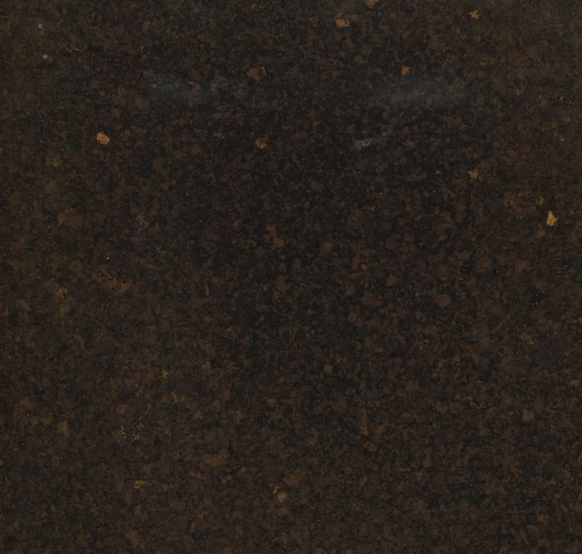 Main