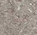 Gra