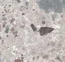 Hav