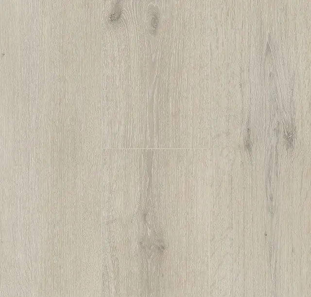 Main