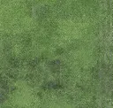 Pgn230-141 Lawn