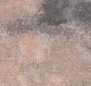 Pgn261-260-236 Flora