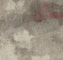 Pgn254-60-48 Ornamental