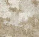 Pgn44-21-219 Haze