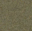 Seagrass