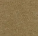 721 Nutmeg