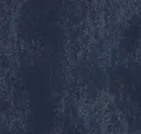 Base Layer