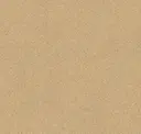 Sandtrap
