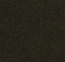 Loden