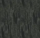 Fir