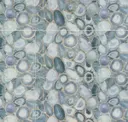 Silver Gray