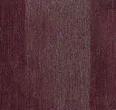 Soc192 Aural