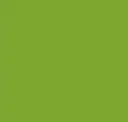 Green Feather