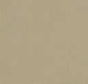 Sahara Sand