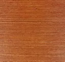 Citrus Orange