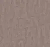 Nutmeg