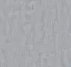 Birch