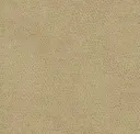 Sand Dune