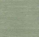 Verdant Green