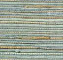 Algae