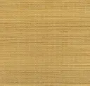 Parchment